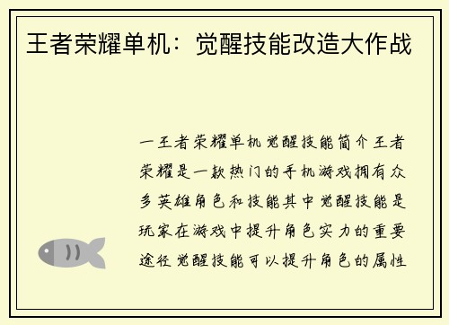王者荣耀单机：觉醒技能改造大作战