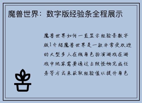 魔兽世界：数字版经验条全程展示